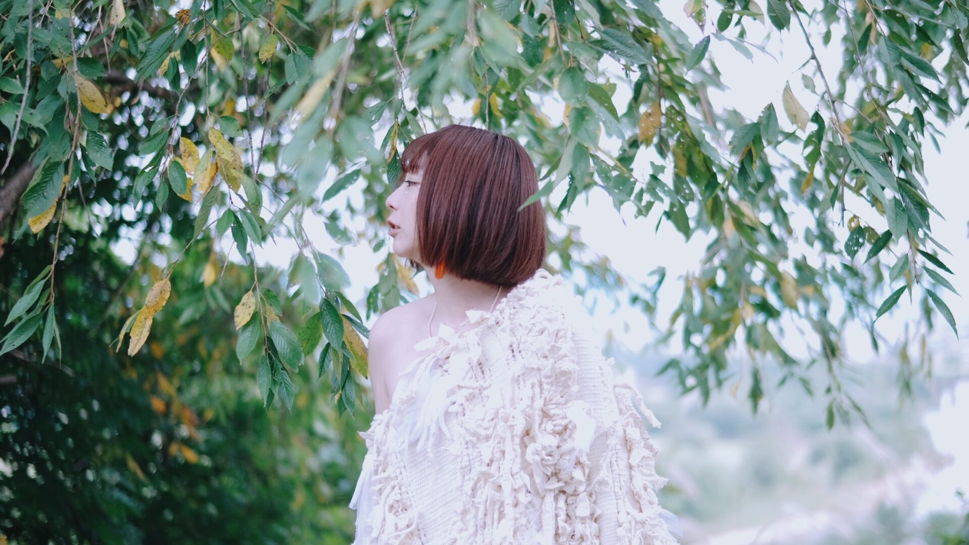 AYA official web site
